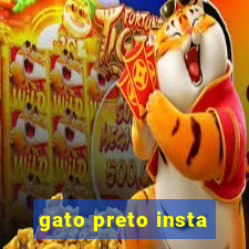 gato preto insta